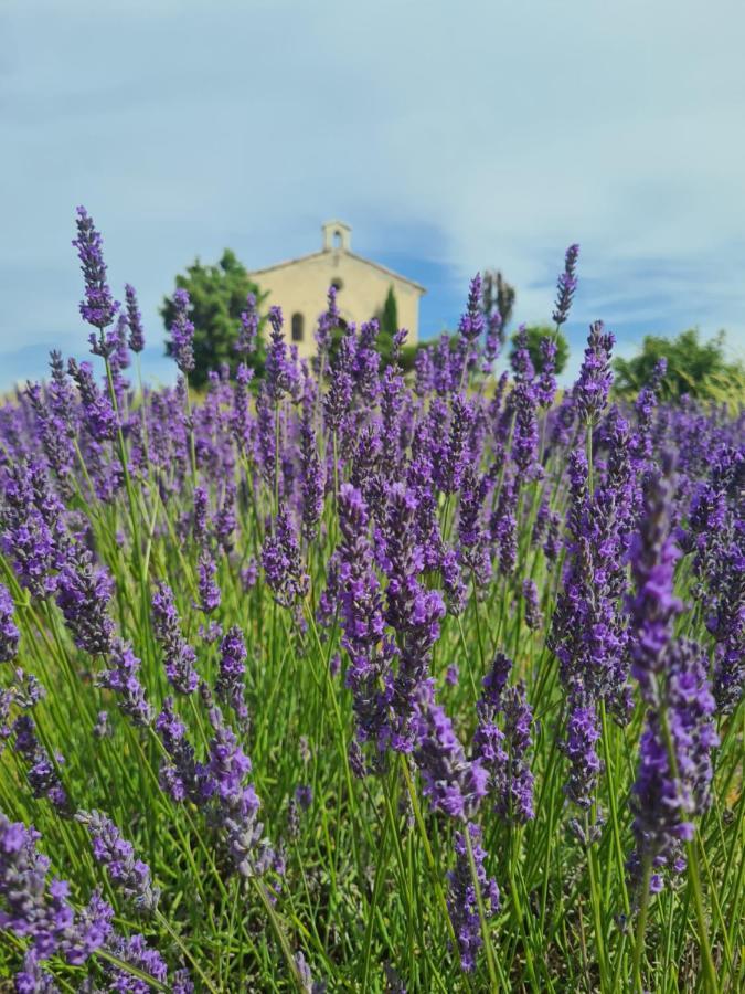 la parenthèse Villa Entrevennes Esterno foto